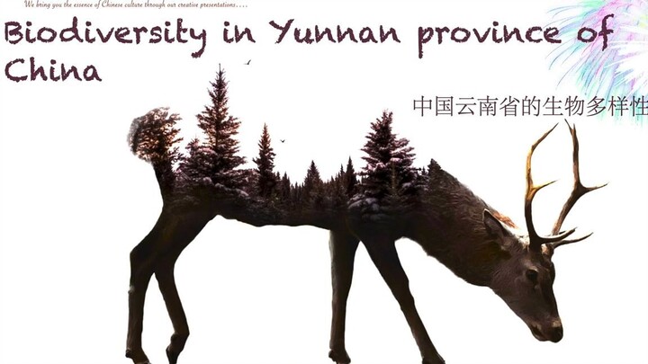 Biodiversity in Yunnan, China  #COP15