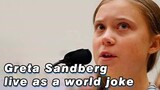 Chopsticks Waste of Resources? Greta Thunberg Becomes The World's Joke