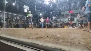 3rd fight LOSS Entry name TiGRE Ng DAVAO