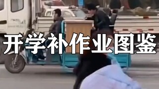 “ 开学补作业图鉴 ”