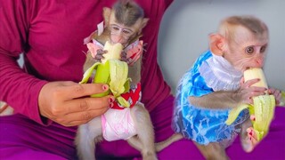 Adorable Toto & Yaya love eating a banana they are sit down gently enjoy together