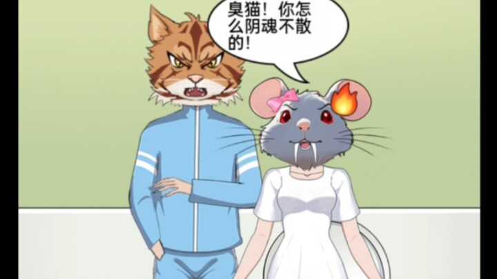 猫和老鼠！天敌都是相爱相杀