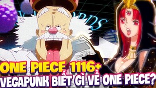 ONE PIECE 1116+ | VEGAPUNK BIẾT GÌ VỀ KHO BÁU  ONE PIECE