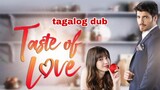 Taste Of Love Ep 21 Tagalog dub turkish drama