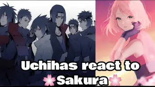 All Uchihas react to 🌸✨Sakura ✨🌸 | (Short Video)
