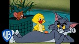 Tom & Jerry | Getting Ready for Spring | Classic Cartoon Compilation | @wbkids