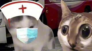 Những người có nhóm máu khác nhau hiến máu