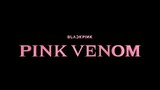 Blackpink PinkVenom/Mv