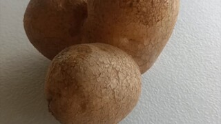 Funny Potato