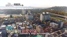 Dogs are Incredible Ep. 6