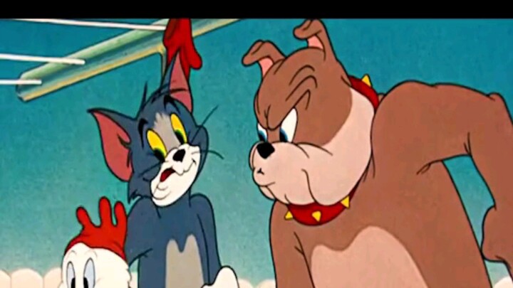 Ngày đầu tiên Tom được Jerry thủ vai - ký ức tuổi thơ