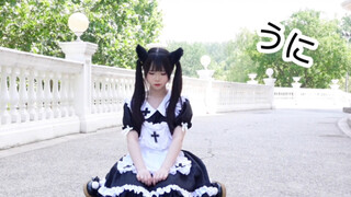 喜欢猫猫吗？「うに」