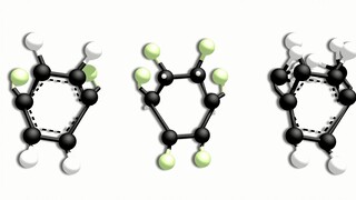 有机物们的桃源恋歌