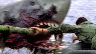 The Final Duel | Jaws 2 | CLIP