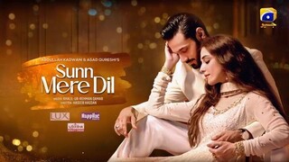 Sunn Mere Dil Ep 31