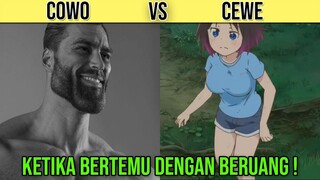 Begini Jadinya Jika Cewe Ketemu Dengan Beruang !