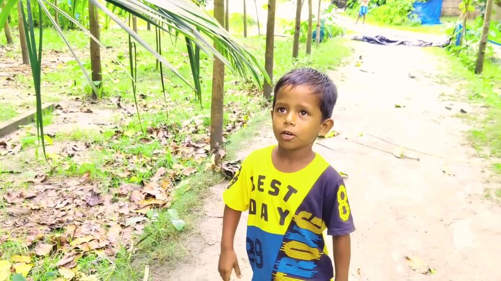 চাচা ভাতিজার হাসি ঠাট্টা তর্ক