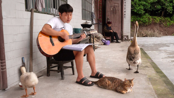 Nyanyian Cover Gitar-Xu Wei "Kampung Halaman"