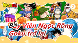 [Bảy Viên Ngọc Rồng/480P/DVDrip] Trở lại! Goku và những người bạn của cậu ấy!_2