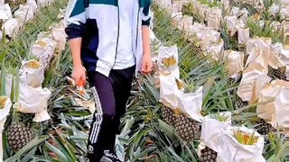 @https://www.tiktok.com/@vshakibyt?_t=ZS-8wRINn6eA4X&_r=1