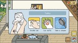Tobby - Chú mèo đanh đá - Adorable Home