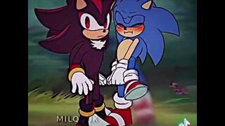 Sonic x Shadow