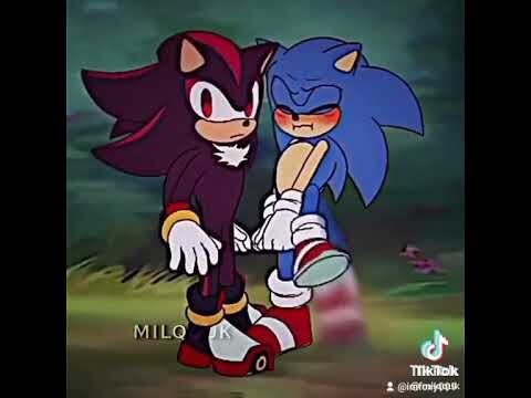 Sonic x Shadow