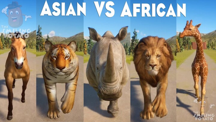 African Animals VS Asian Animals Speed Races Competition in Planet Zoo included Lion, Tiger & etc 🦁🐯