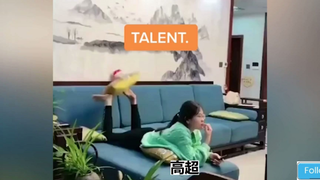 Like a boss  像一个老板一样