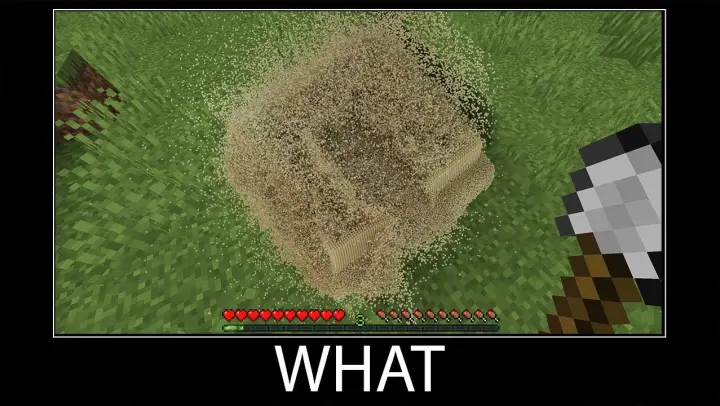 Minecraft wait what meme part 26 realistic sand
