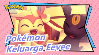 [Pokémon/3D] Keluarga Eevee, Pertemuan Pertama