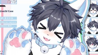 【Live2d模型展示】furry|谁能拒绝萌萌的幼年白狼