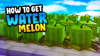 NEW* How to GET Watermelon SEEDS!! in Roblox Islands (Skyblock)