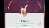Pokémon GO-Evolving Shiny Litten