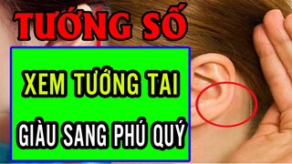 Xem Tướng Tai Đoán Tương Lai, Như Thế Nào Là Đôi Tai Đẹp Giàu Có