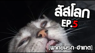 สัสโลก ep 5 พากย์นรก ฮาเกต Pet Talk