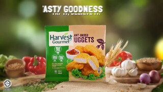 The Ultimate Golden Snack by Harvest Gourmet
