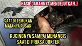 Kucing Liar Matanya Rusak Minta Tolong Di Obati Par 2 Kasihan Kucingnya  Sampai Menangis Di Klinik.!
