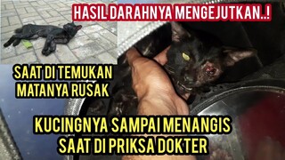 Kucing Liar Matanya Rusak Minta Tolong Di Obati Par 2 Kasihan Kucingnya  Sampai Menangis Di Klinik.!