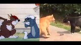 Lucu|Gabungan Cuplikan Lucu "Tom dan Jerry"