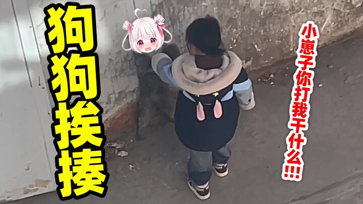 狗狗被打了也是会口出狂言的！！！