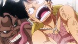 [One Piece Episode 1043] Capri gave Luffy meat at the critical moment "One Piece"