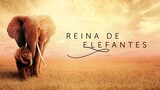 REINA DE ELEFANTES (2018) LATINO