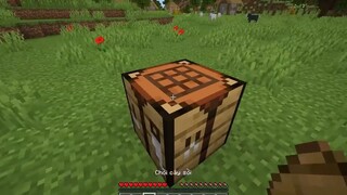 Minecraft, Nhưng Bạn Đào Được Khoáng Sản Mới