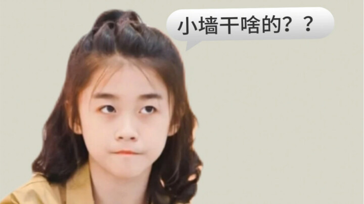 臻小墙的自我介绍，大家快来认识一下真正的小墙