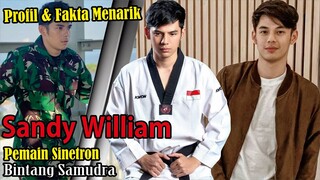 Profil dan Fakta Menarik Sandy William || Pemeran Bintang Samudera