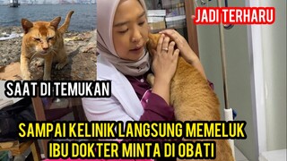 KUCING DI BUANG DI TENGAH  LAUT PART 2 AKHIRNYA SAMPAI DOKTER..!