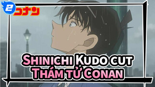 Shinichi Kudo cut| Thám tử Conan_2
