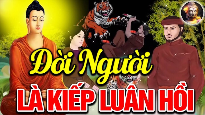 Luật Nhân Quả 2024, KHINH THƯỜNG NGƯỜI KHÁC Vì Đời Người là Kiếp Luân Hồi - Truyện Phật Giáo Hay