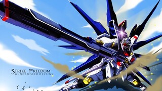 Gundam Seed Destiny: EP5